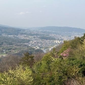 明神山の展望台から王寺の市街地。