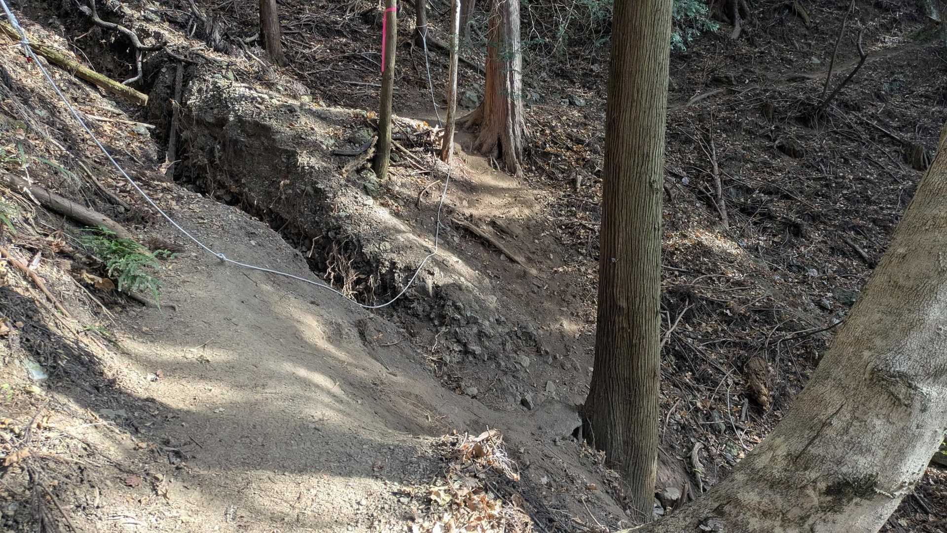 仏果山登山口バス停-宮ヶ瀬越-高取山 往復コースの写真