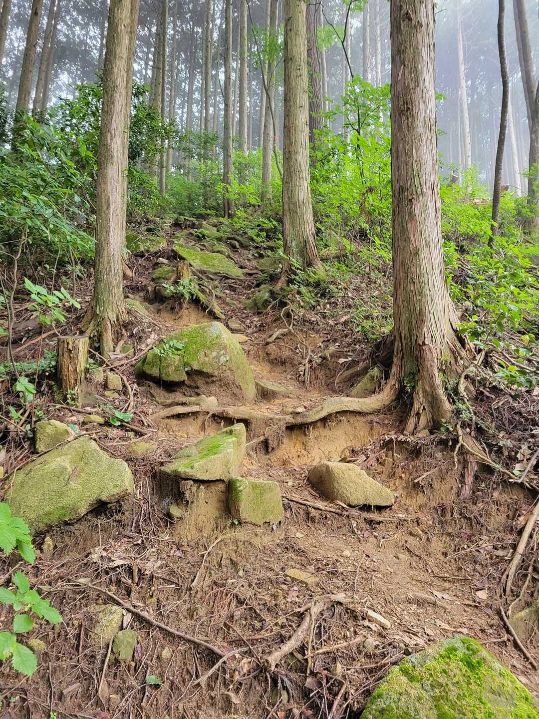 時々急登(地獄)