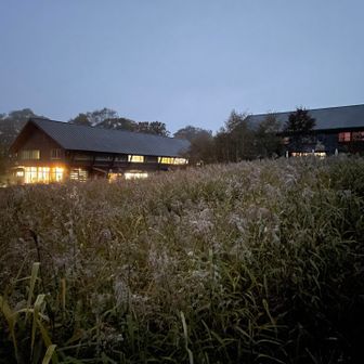 翌朝。温泉小屋までピストン散歩
