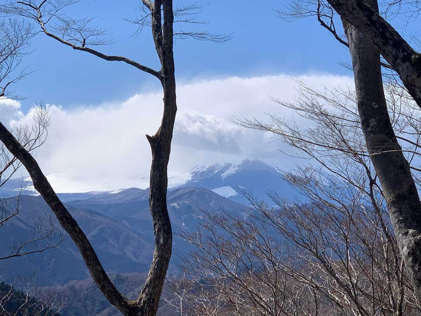 権現岳ピークから少し下ったところで
今日1番のお富士さん🗻