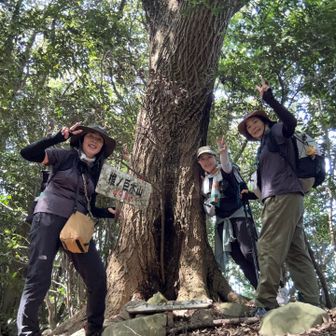 2座目　椎の巨木山　
ここからしばらくルーファイで苦労😅