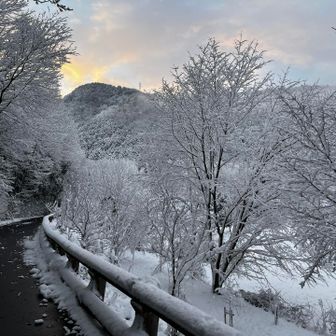 気を取り直してスタートします👍