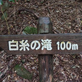 滝の上部まででも、100m以上あります😅