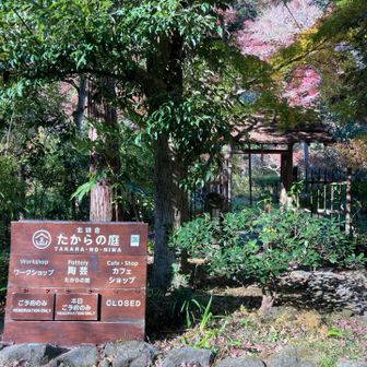 ここ前に娘たちと陶芸しにきた！