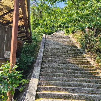 ヤマップのピークでもあるので登ってみることに。