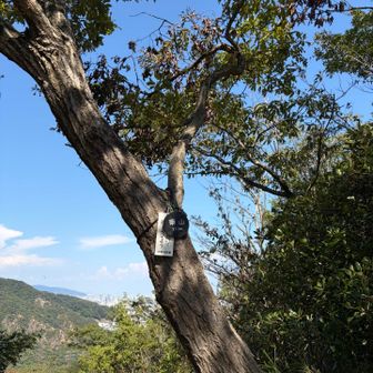 東山⛰️
おっとこんな時間。今日はここで下山とします🥾