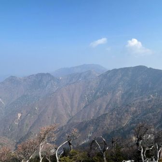 山頂からの景色最高