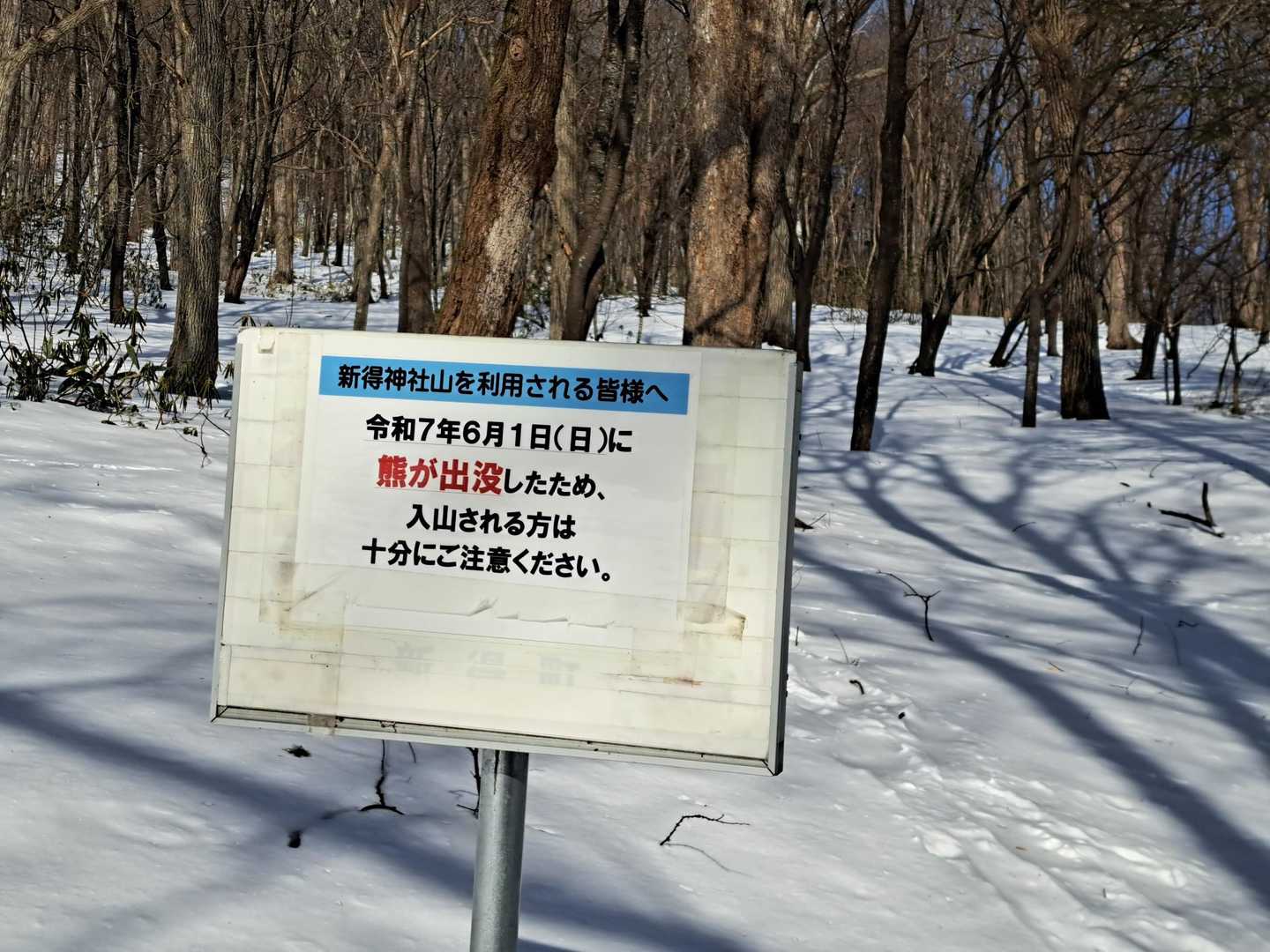 もれなく🐻出没
ここでスノーシュー外します