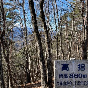 結構な急斜面を登り高指山
後ろに🗻
ここは広くて休憩に良いです