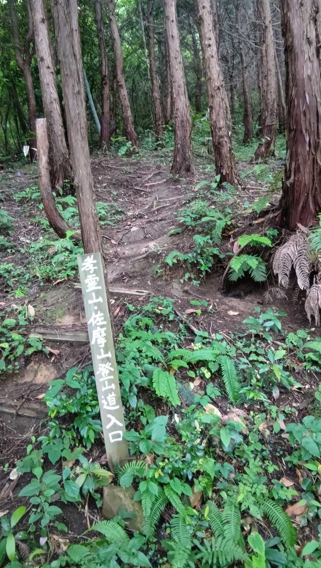 町道より孝霊山入口から約１kmの🅿️から林道を歩いて登山道入口
いきなりの急登💦