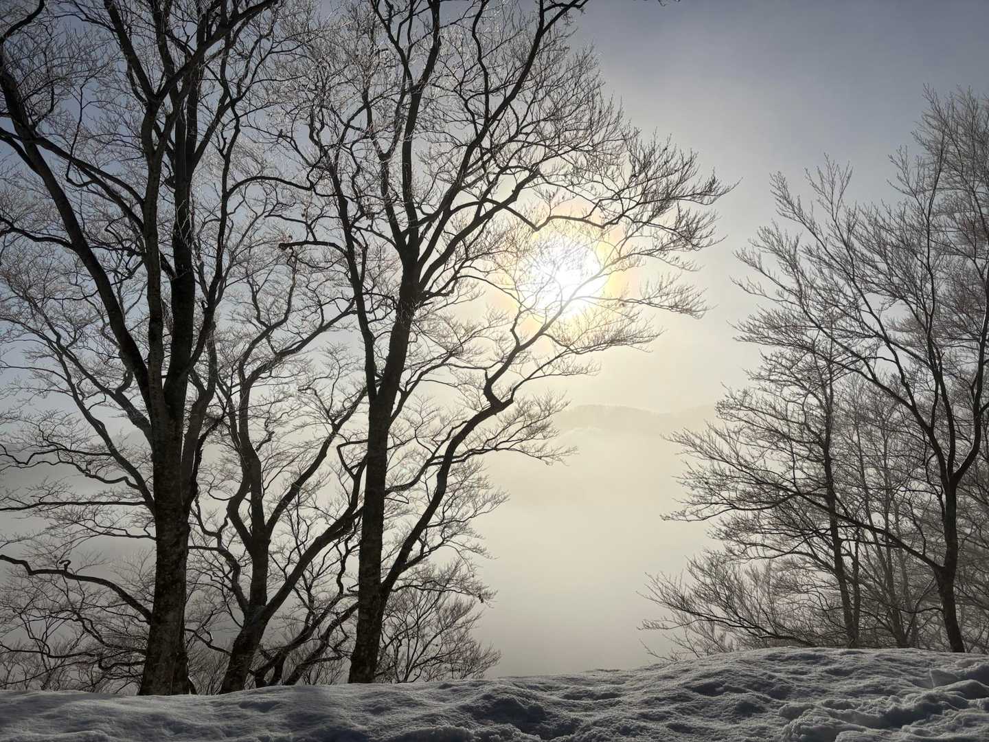 霧が晴れて来る幻想的な風景