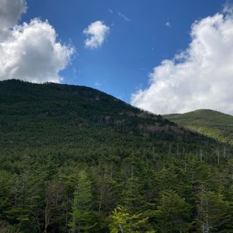 茶臼山と縞枯山。
時間があればこっちも周りたかった。