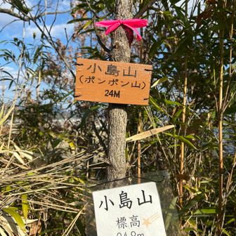 ５座目・小島山⛰️（ポンポン山⛰️）へ到着（初）
