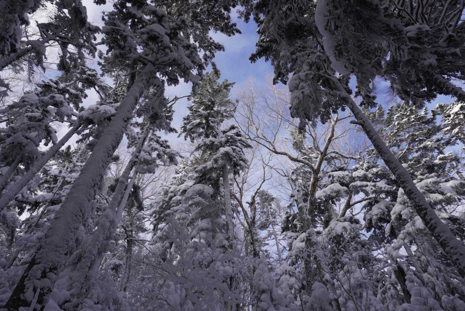 青空が出ると、映える〜