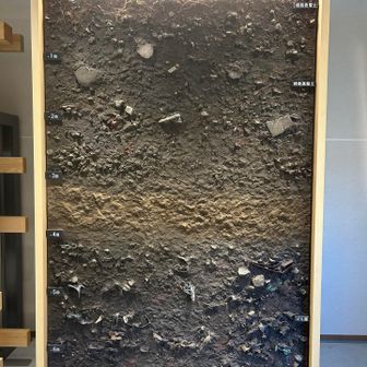 東京湾の埋立地ということは…ゴミの島です。6m下にはゴミの層があるようです。