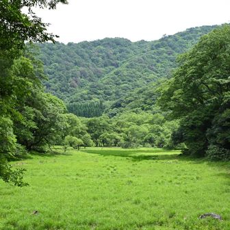 来年はもうちょい早い時期に来よう😊