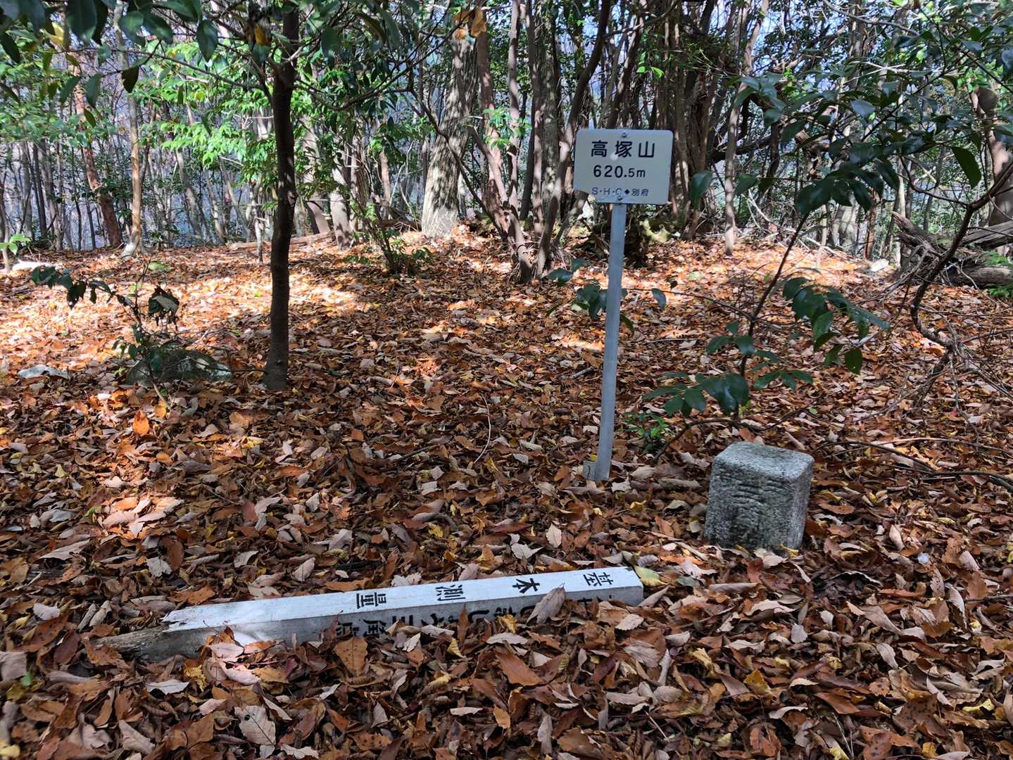 高塚山（大分県日田市大字小野）の写真