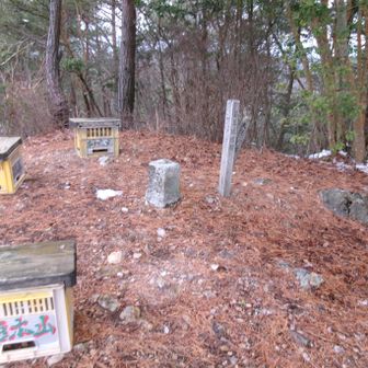 柏木山二等三角点　点名：行波村５１８．４ｍ