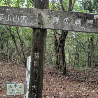大平山到着
眺望は無しよ