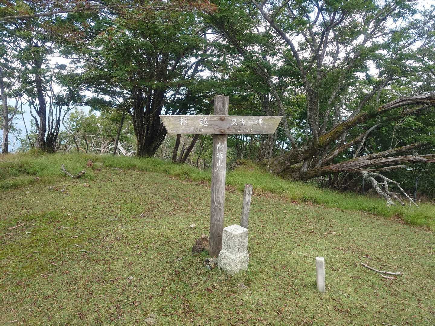 向坂山　今回はここがラスト
この先の木の階段でまた滑ってコケる😨  
やはり２代前のザンバランの擦れたソールではグリップ弱いかな？
でもそのソールが剥がれていないだけで助けられてます🙇