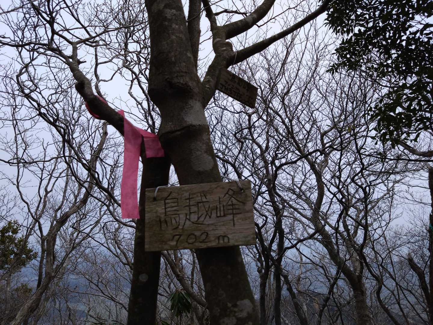 鳥越峰⛰702m
登山道から離れた所に看板。
周辺をぐるぐるしてもYAMAP上で登頂にならないんですよ〜😵‍💫

諦めました〜😂