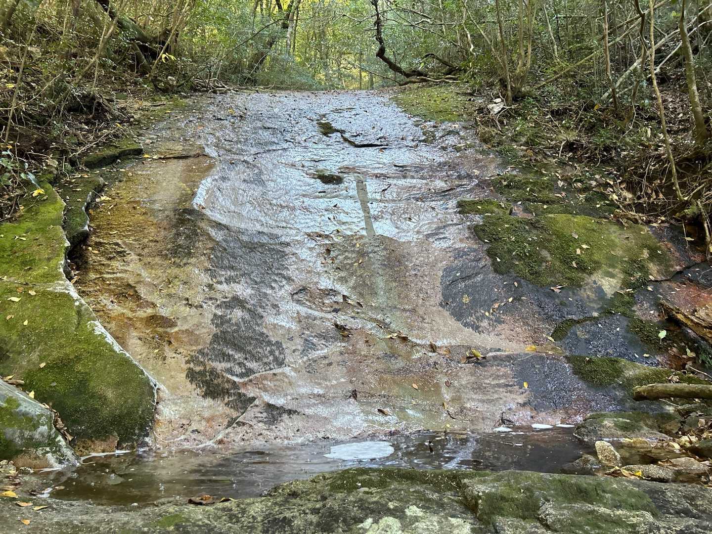 稲尾岳-枯木岳 周回コースの写真