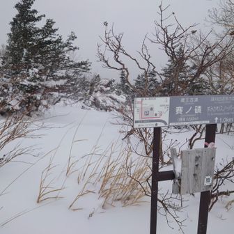 古道を通りましたが今回はエコーラインの方が早かったかも笑