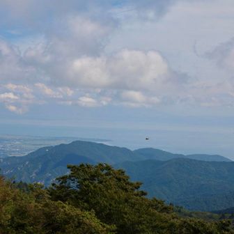 救助ヘリらしきものが飛んでました🚁