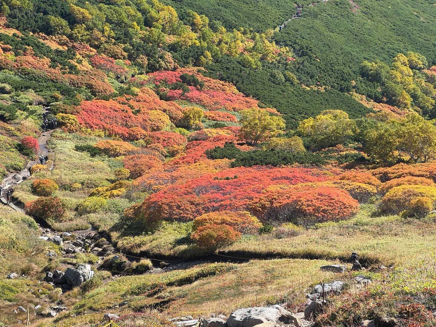 赤岳登山口-赤岳-白雲岳-北海岳-黒岳-七合目登山事務所 縦走コースの写真