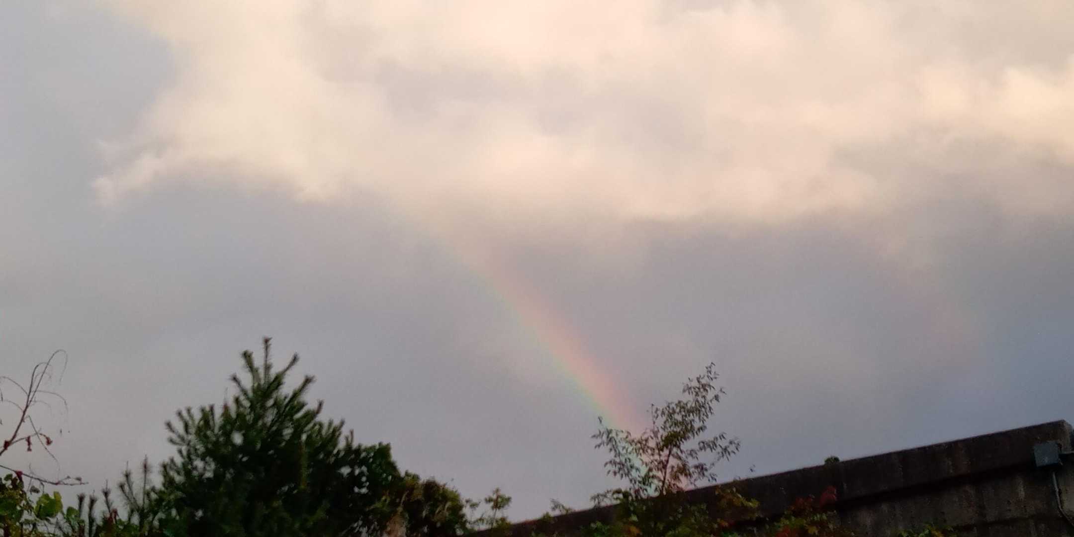 二重の虹🏳️‍🌈
