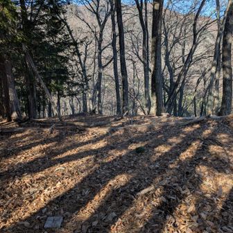 ピークから滝子山がチラ見え。