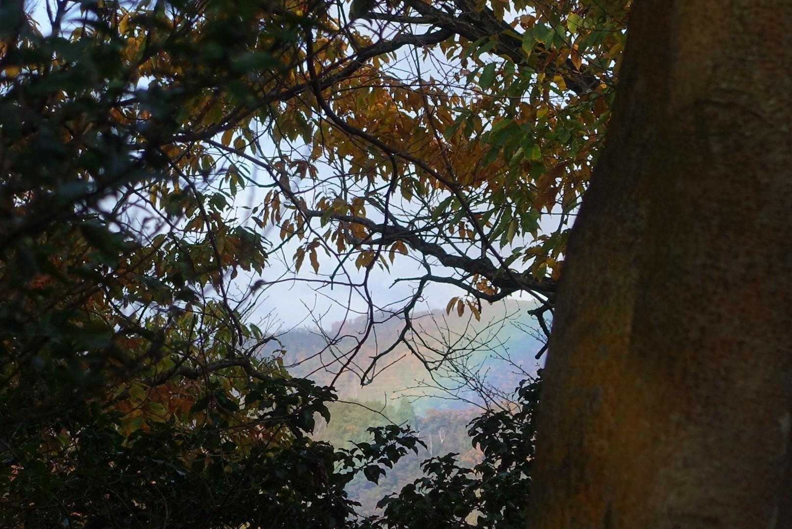 雨上がり、虹が見えたよ🌈