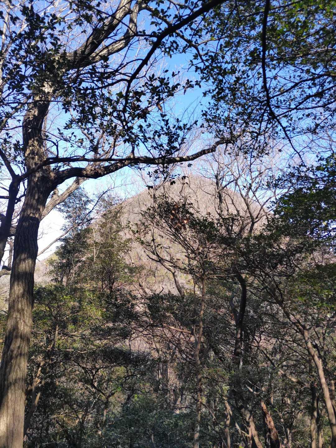 これから向かう六ツ目山