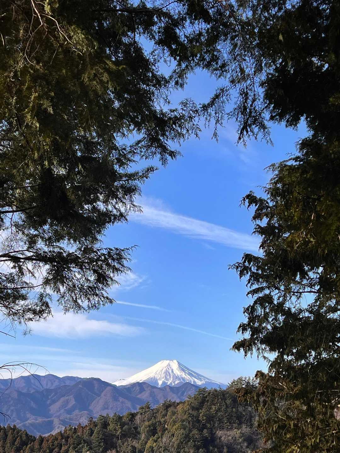 新井バス停-要害山入口-尾続バス停-尾続山入口　-尾続山- 周回コースの写真