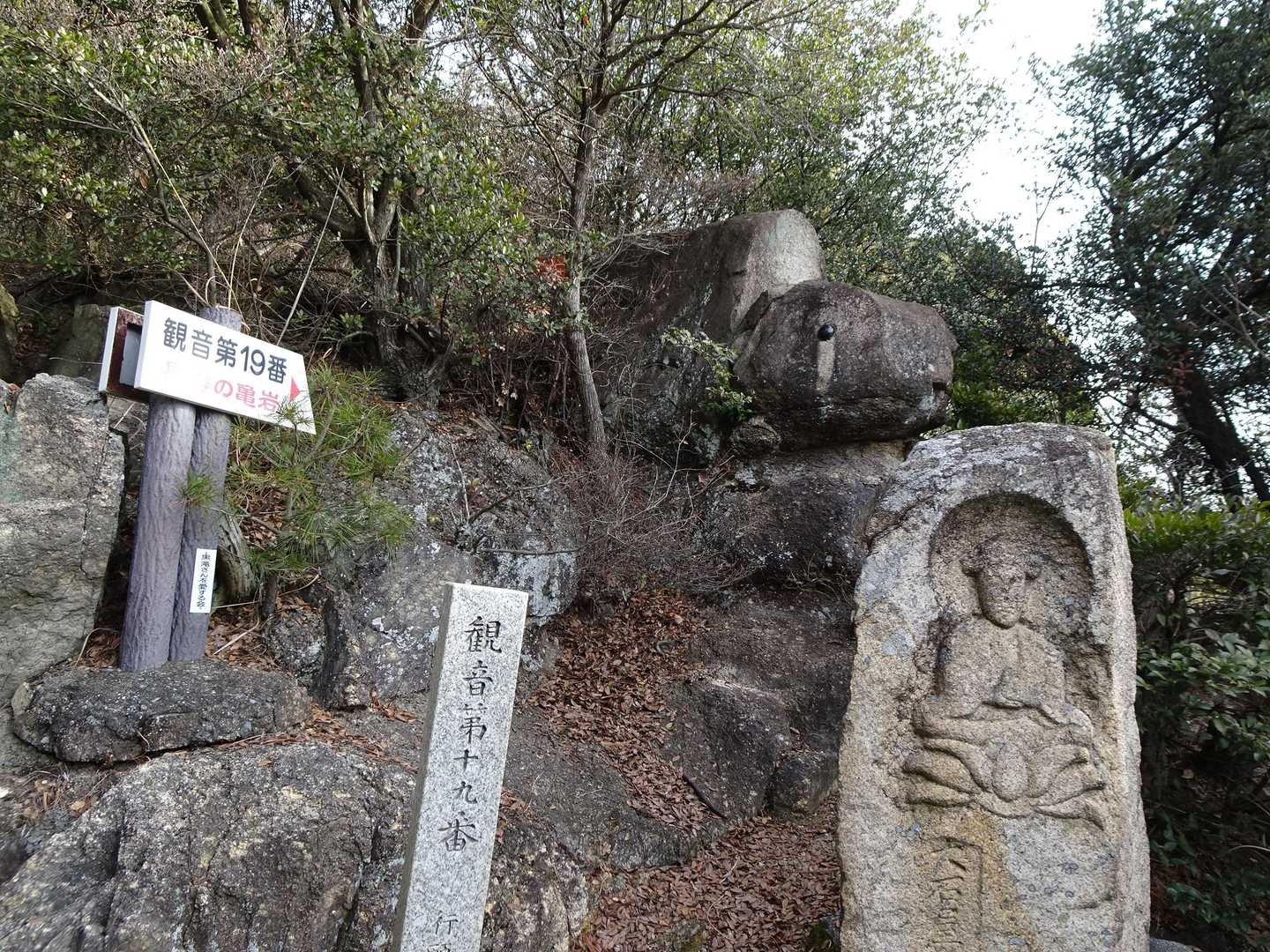 「亀岩」涙を流している様に見えませんか？