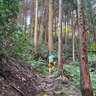 登りまーす