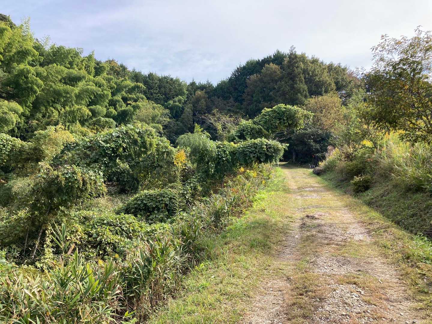 問題です。
恐竜🦕は何頭いるでしょうか⁈