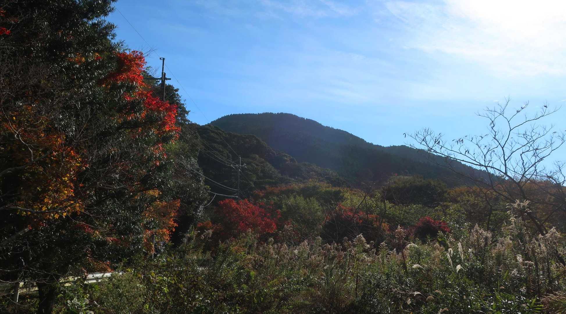 加茂ゆらりんこ橋登山口-加茂神社-真名子登山口-二丈岳 往復コースの写真