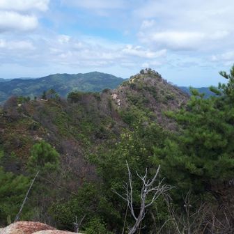 笠松山が見えた。