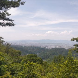 梶尾山展望台からの眺め
左端に大阪市内
真ん中辺りに
ポンポン山など
右端の枝の陰に愛宕山

眼下には宇治川や白虹橋（駐車場近くの橋）などが見えました

天ヶ瀬ダムやダム湖は見えず・・残念