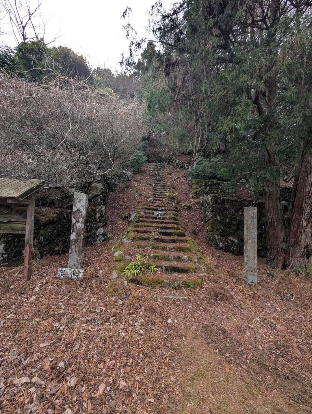 高束山 往復コースの写真