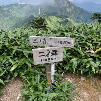 なんとかなんとかニノ森山頂につきました