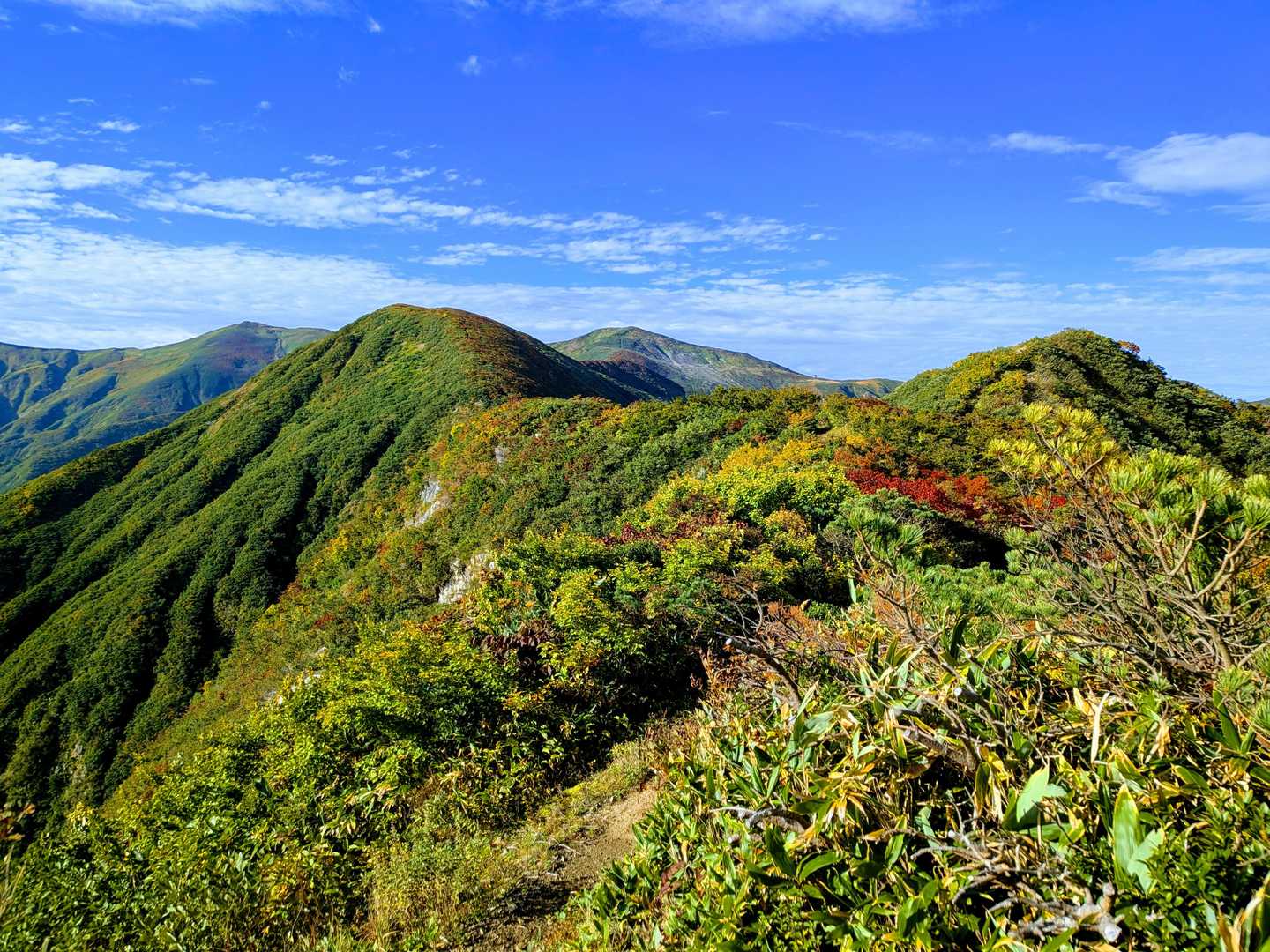 紅葉も始まってますね～♬