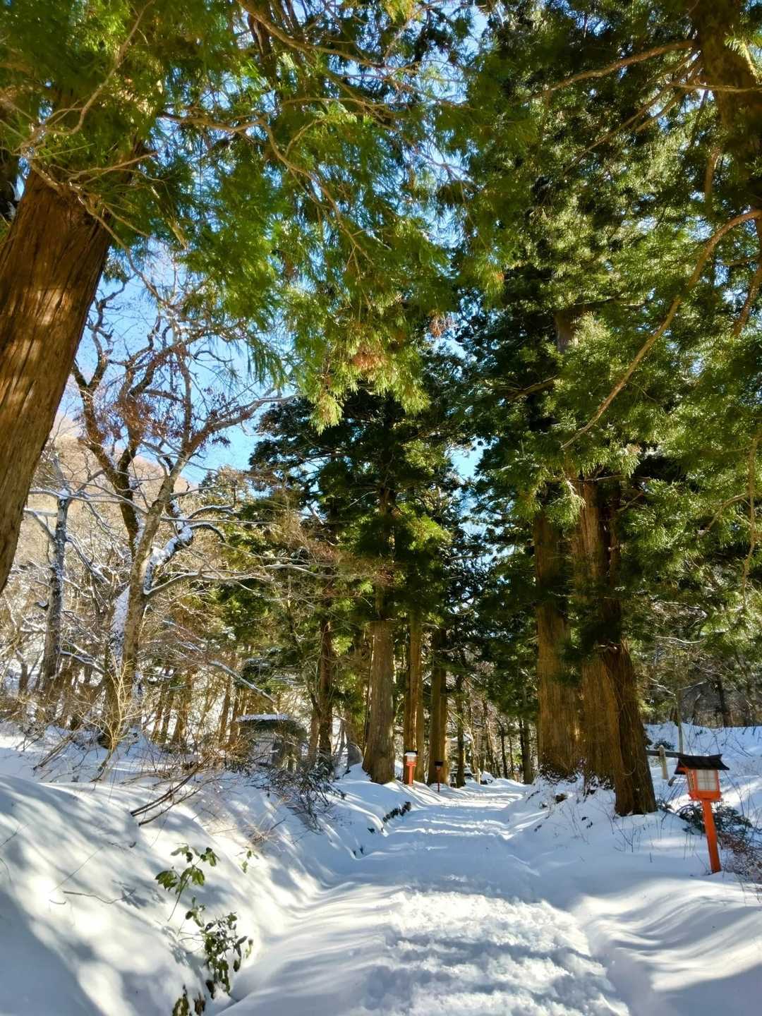 日本一の自然石の参道も積雪あり❗️