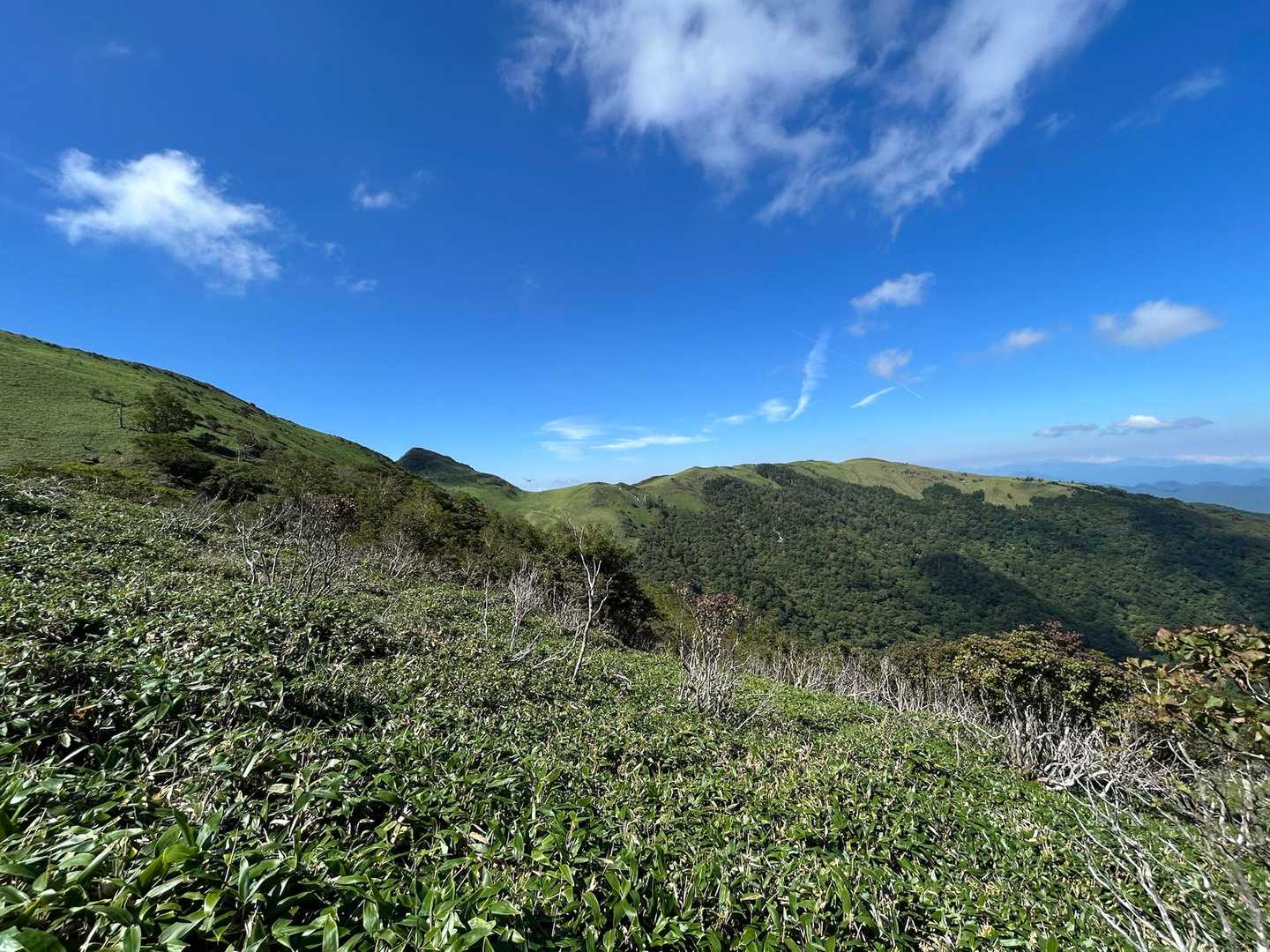 天狗塚登山口-第1ピーク-天狗塚-牛の背 往復コースの写真