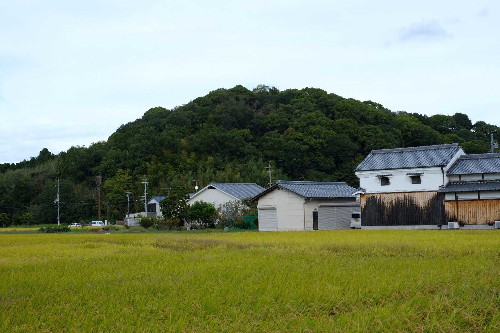 次は天香具山へ

あの山の上に衣がひらひら風になびく風景を想像して歩こう
