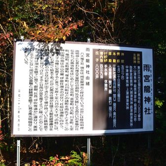 雨宮龍神社由緒
いつも読まないのに撮ってしまいます。