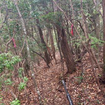 反射板しかなくて、何も見るものが無いので、すぐに本城山へと向かうことに。
見どころが無い山頂なので、とても残念。😢