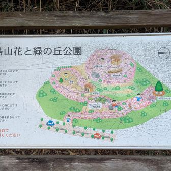 ここに来るまで
迷って迷って
周りをぐるぐる🌀